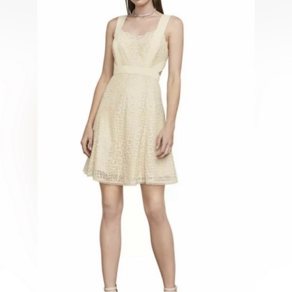 NWT BCBG Max Azria Size 10, Alena Cream Metallic Dress